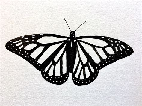 Inktober Drawing Monarch Butterfly Butterfly Drawing Butterfly