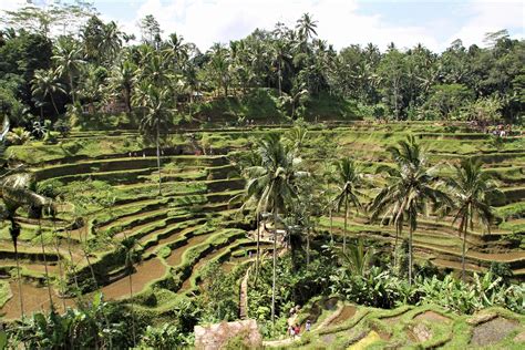 Indonesia World Heritage Cultural Landscape Of Bali Province The Subak System As A