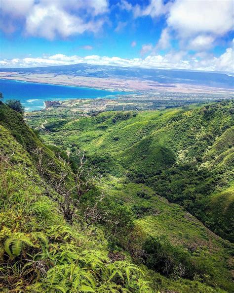 For this maui adventure hike, definitely wear comfortable and sturdy hiking shoes, and bring lots of drinking water. Waihe'e Ridge Trail - Maui, Hawaii | AllTrails