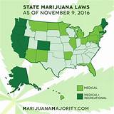 Marijuana In States