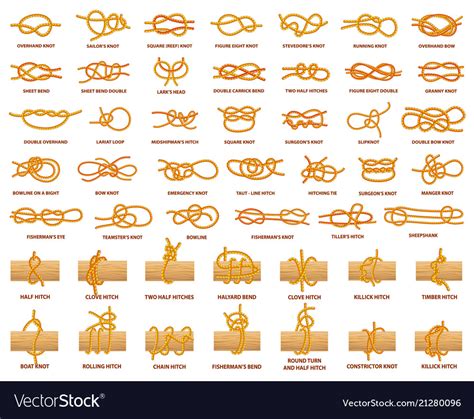 All Types Knots Demonstrated With Strong Rope Vector Image