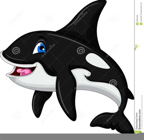 Animated Killer Whale Clipart Free Images At Vector Clip
