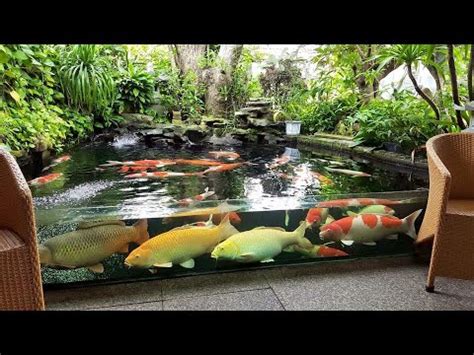 This backyard natural pool by totalhabitat.com sits in a residential subdivision and mimics a fishing this cascading backyard waterfall by sublime garden design passes through boulders. Garden Designs | TOP 3 MOST BEAUTIFUL BACKYARD FISH PONDS ...