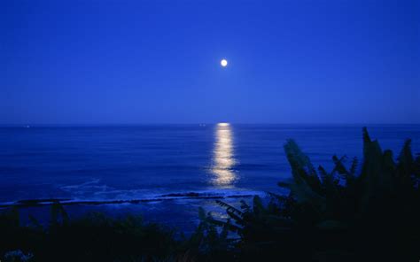 Free Download Night Sea Moon Ocean Reflection Wallpaper 1920x1200