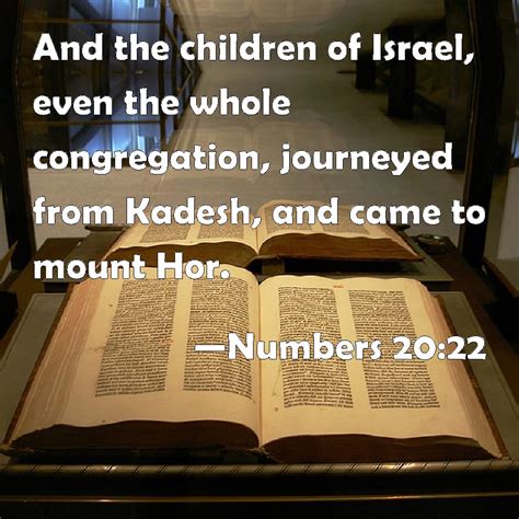 Numbers 2022 And The Children Of Israel Even The Whole Congregation