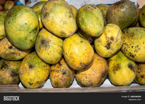 Ripe Mangoes Fruit Image And Photo Free Trial Bigstock