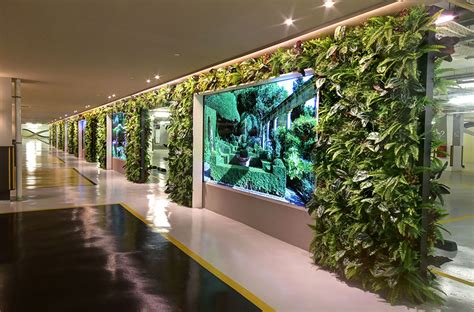 Biophilic Architecture And Biophilic Design Definition Examples