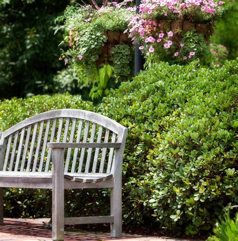 One of the stunning ideas for garden screening is trellis fence. 41 Incredible Garden Hedge Ideas for Your Yard (PHOTOS)