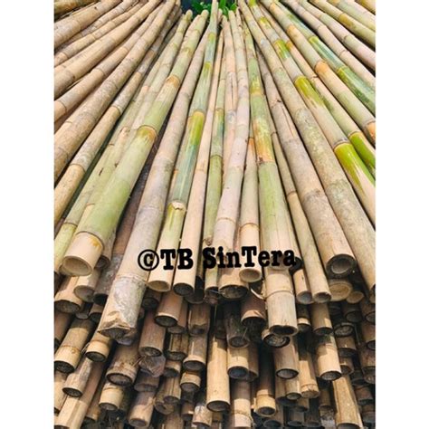Jual Bambu Steger 4 5 6 Meter Bambu Bendera Bambu Tali Kota