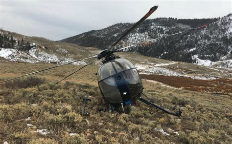 Helicopter Pilot Forced To Crash Land When Elk Kicks Tail Rotor Cedar