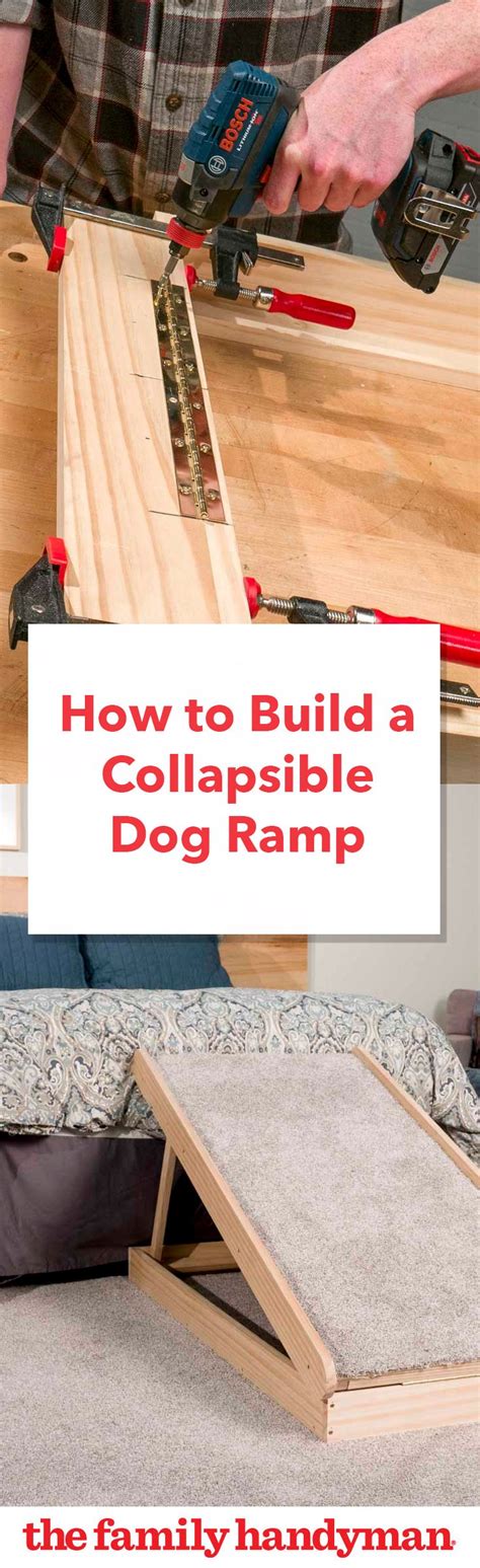 Saturday Morning Workshop How To Build A Collapsible Dog Ramp Dog