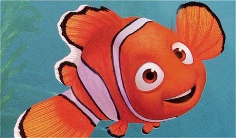 Finding Nemo Is Back Thank You Disney Born Just Right