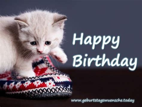 Geburtstagswünsche katze lustige wünsche zum geburtstag. Happy Birthday | Herzlichen glückwunsch zum geburtstag ...