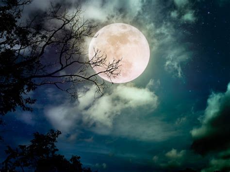 Full Moon Stock Photos Pictures And Royalty Free Images Istock