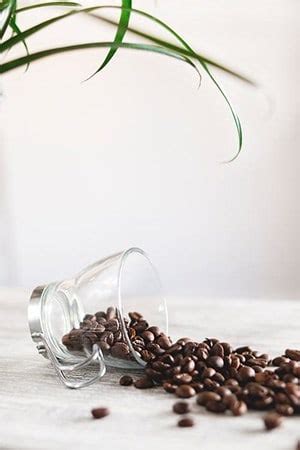 Why buy fair trade coffee. Mold Free Coffee - Kion Coffee Review - Best Quality Coffee