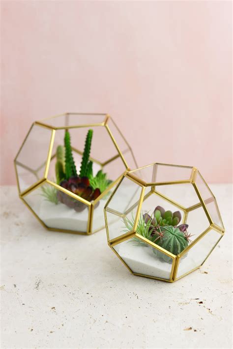 Hira Glass And Brass Terrarium Display Box