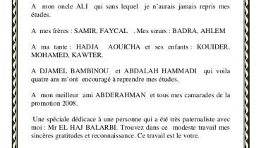 exemple de guide d entretien pour un memoire