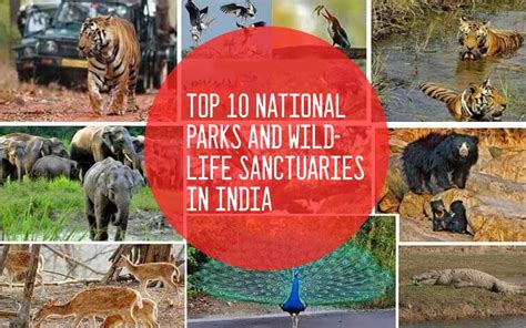 Top 15 National Parks And Wildlife Sanctuaries In India