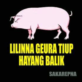 200 gambar lucu banget bikin ngakak konyol gokil kocak terbaru. DP BBM sunda nyegik di 2020 | Lucu, Tanda lucu, Gambar lucu