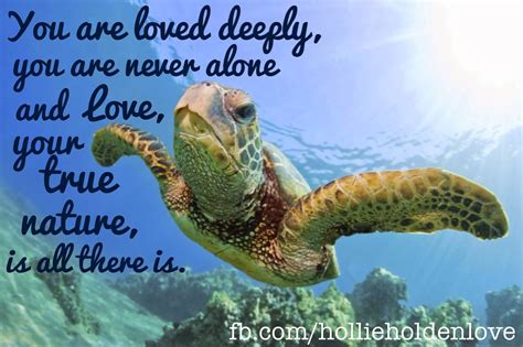 Turtle Love Quotes Quotesgram