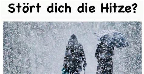 Die erste hitzewelle des sommers 2021 steht vor der tür. Stört dich die Hitze? | Lustige Bilder, Sprüche, Witze ...