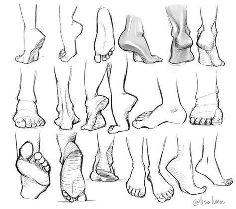 Hand Reference Anatomy Drawings Feet Drawing Art Reference Drawing