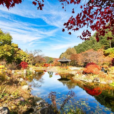 The Garden Of Morning Calm A Botanical Paradise In Gyeonggi Do