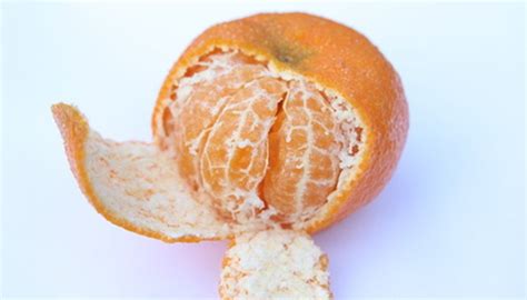 How to Care for a Satsuma Mandarin Orange Tree Plant | Garden Guides