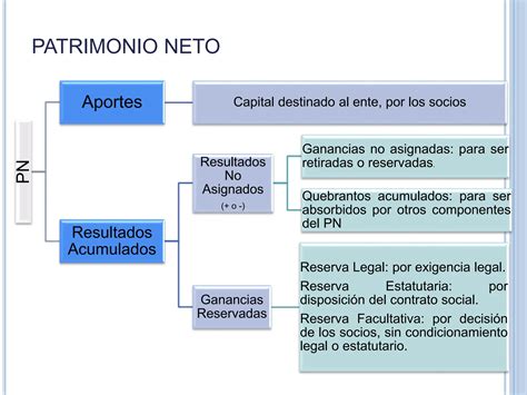 COMPONENTES Y VARIACIONES PATRIMONIALES Pptx