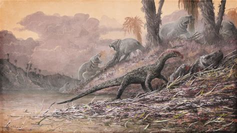 Decade Of Fossil Collecting In Africa Gives New Perspective On Triassic