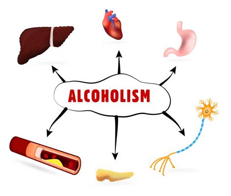 Alcohol And Health Effects Of Alcohol Of The Body Aton Center