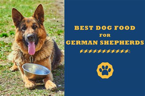 8 Best Dog Foods For German Shepherds In 2024 Totally Goldens