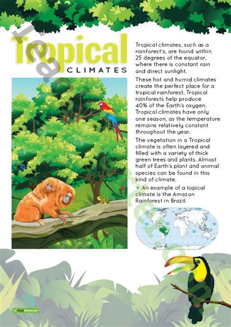 Climate Types Of The World Poster Tropical Climates Teaching Resource