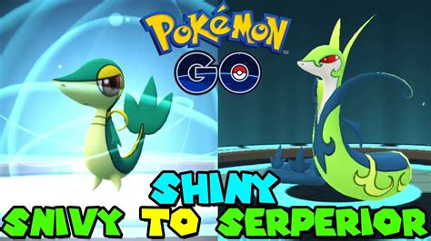 Evolving Shiny Snivy To Shiny Serperior In Pokemon Go Unova