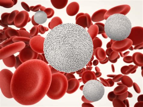 Is Low Lymphocytes A Sign Of Cancer Cancerwalls