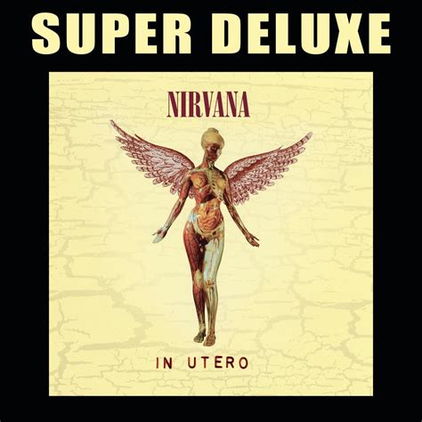 ‎in Utero 20th Anniversary Super Deluxe Edition By Nirvana On Apple Music