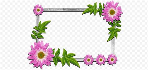 Floral Background Frame Batas Dan Bingkai Bunga Frame Design Floral