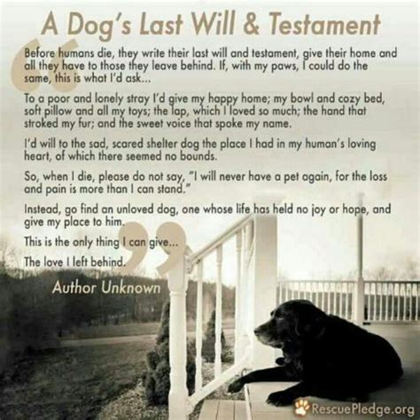 Whether you're looking to make them smile about what it's like to be a friend or show them you understand the funny aspects of your relationship together, funny quotes are always perfect for your social media posts and gifts. Last will and testament | Dog love, Will and testament, Pets