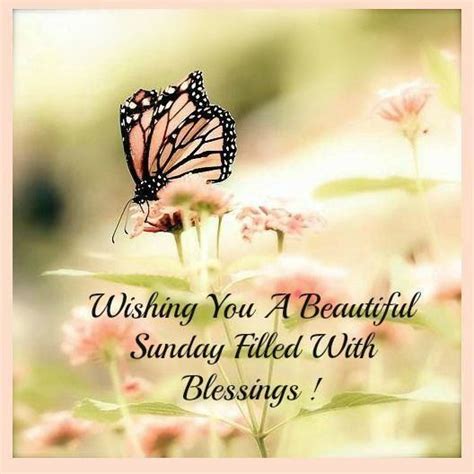 Beautiful Sunday Wishes Wisdom Good Morning Quotes