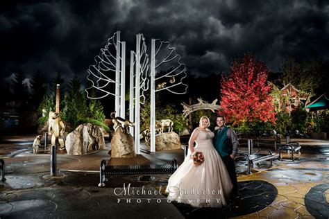 Led light sticks are a new way to light your subject and scene. Michael Anderson Photography - Minneapolis MN Wedding ...