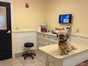 Image result for images of veterinarian office