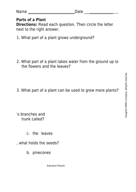 Parts Of A Plant Botany Worksheet Printable Pdf Download