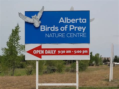 Alberta Birds Of Prey Visitors Centre Coaldale 2022 Alles Wat U