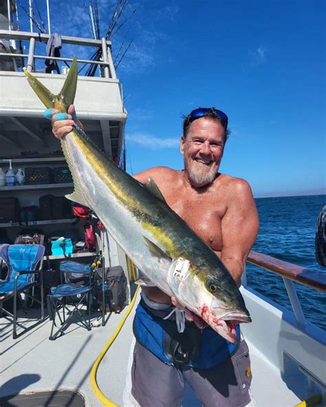 Independence Fish Report Great Day Yellowtail Fishing September 27