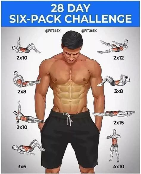28 days to six pack abs workout plan abs workout routines workout training programs gym