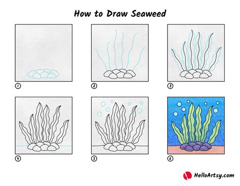 14 How To Draw Kelp Lavernemanas