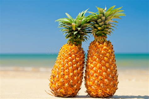 Maybe you would like to learn more about one of these? Pineapples On The Beach Stock Photos - Image: 19480593