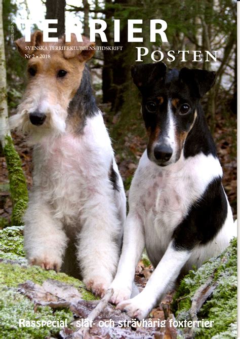 Erdhund von höchstens 18 pfd. TerrierPosten Nr 2 2018 finns till försäljning - Rasklubb ...