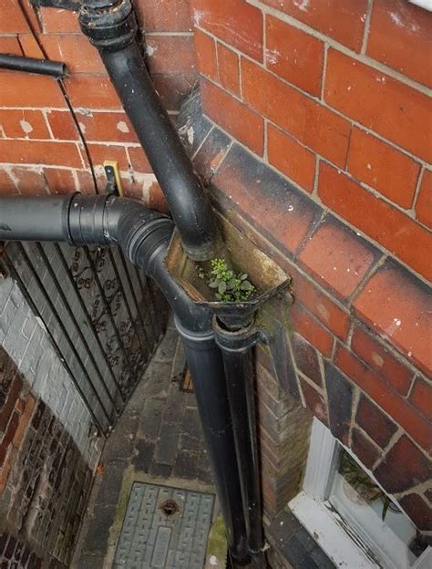 Blocked Downpipes Why Blocked Downpipes Need Attention