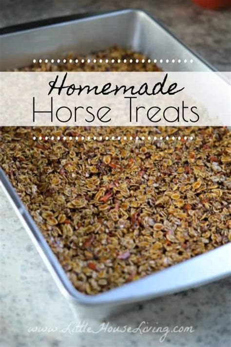 How To Make Horse Treats Homemade Horse Treats Little House Living